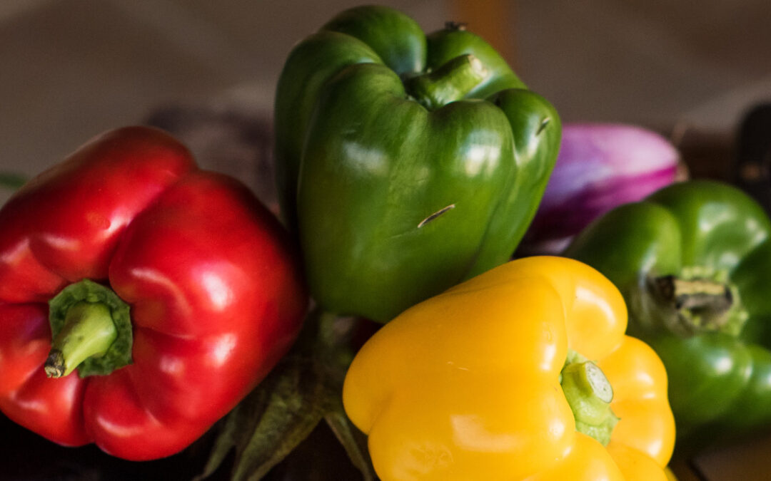 Nutrició Vegetariana/Vegana